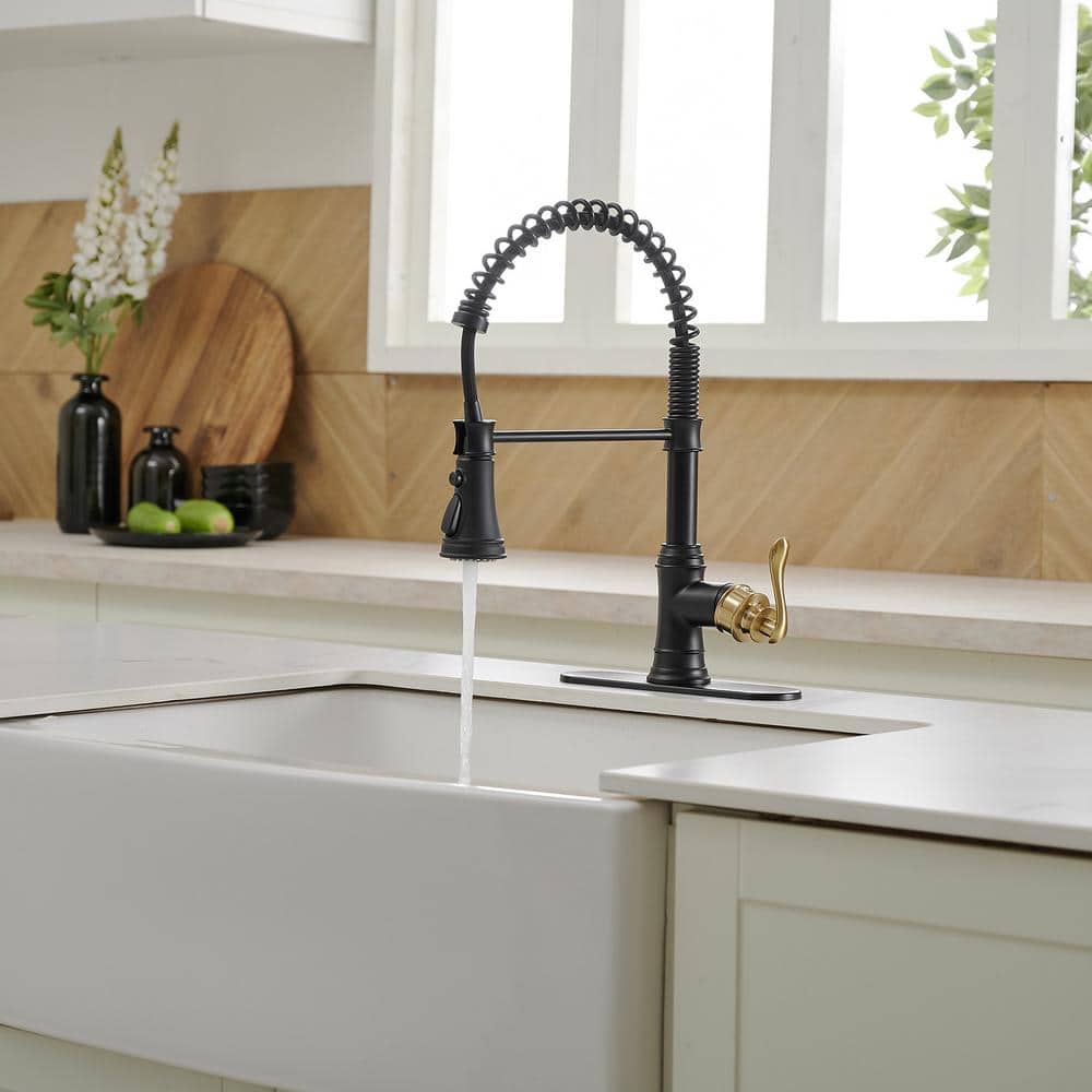 Matte Black and Gold High-Arc Kitchen Faucet with Pull-Out Spray