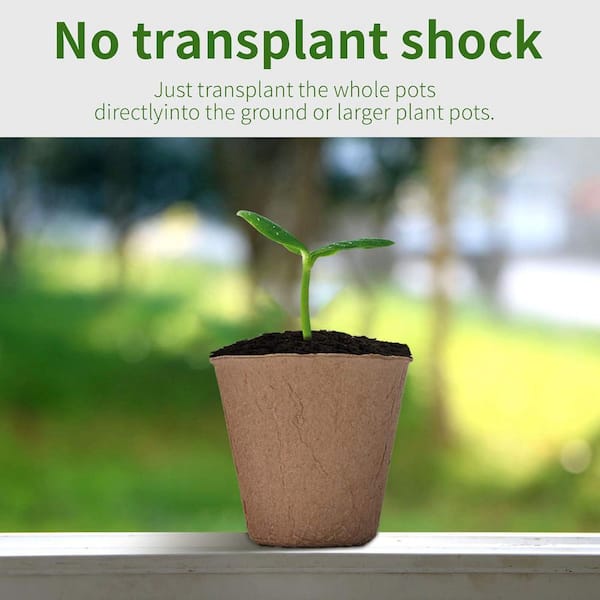 short macrame plant hanger Short Macram Plant Hanger