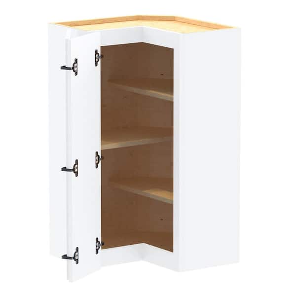 Home Decorators Collection Grayson 21 in. W x 12 in. D x 36 in. H Assembled Plywood Corner Wall Kitchen Cabinet in Pacific White with Shelves