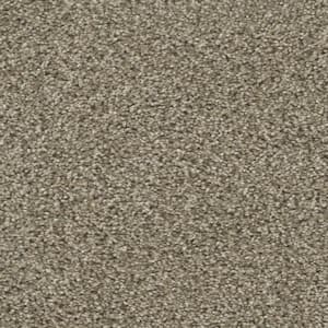 Fall Skies II  - Harvest Time - Beige 65 oz. SD Polyester Texture Installed Carpet