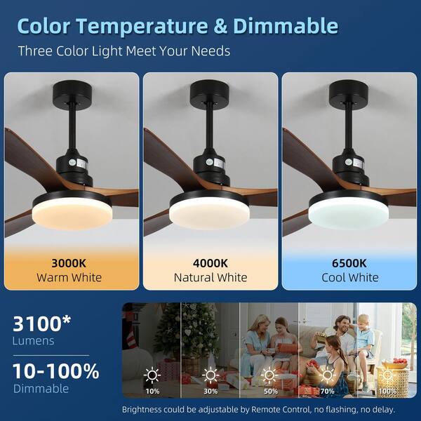 laulea☆様確認用★ファンサボード Ceiling Fans with Lights, 52 Inch Ceiling Fan with Remote 3