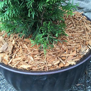 4 qt. Cypress Fines Mulch Resealable Bag