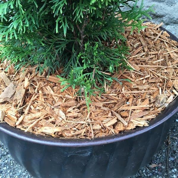 4 Qt. Cypress Mulch Resealable Bag MULCH3359CYP - The Home Depot