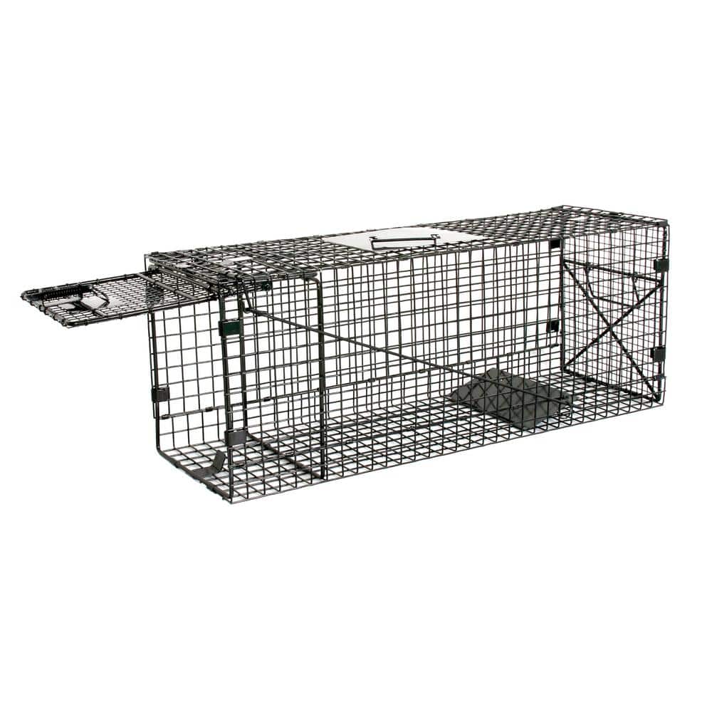 16-Inch Live Animal Cage Trap - Fort Worth, TX - Handley's Feed Store