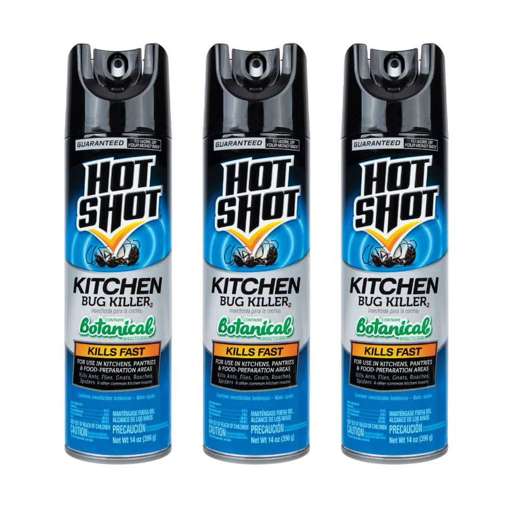 Hot Shot 14 oz. Kitchen Bug Insect Killer Aerosol Spray (3Pack) HG44703 The Home Depot