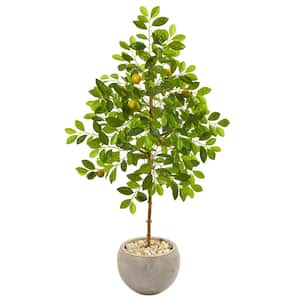54 in. Lemon Artificial Tree in Sand Colored Planter