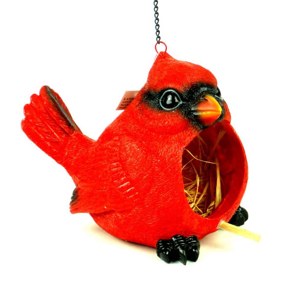 Bottle Bird Cardinal Dog Toy