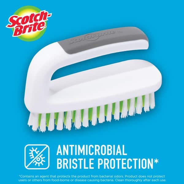 Hand and Nail Brush (6-Pack)