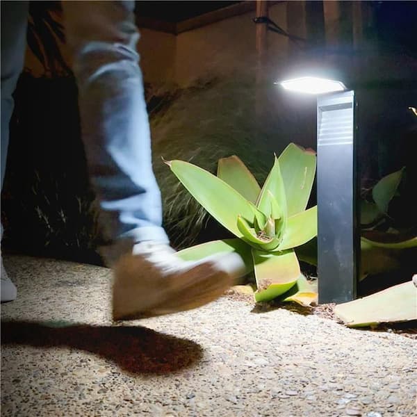 Have a question about TECHKO Black Outdoor Solar LED L