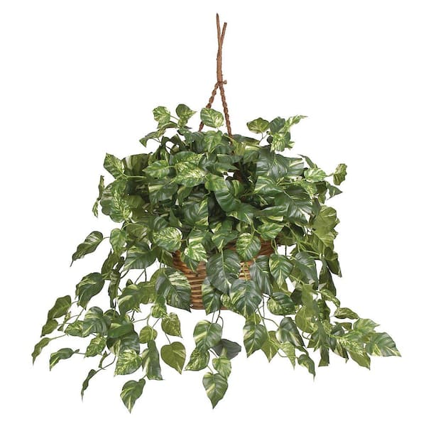 Nearly Natural Artificial Pothos Hanging Basket Silk Plant