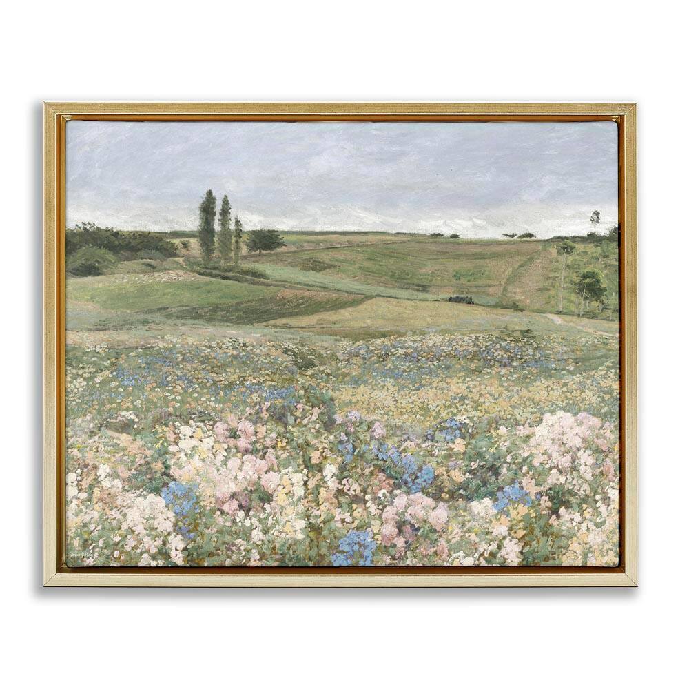 Charming Pastoral Meadow View by Amber Sterling Gold Floater Frame Nature Graphic Art Print 17 in. x 21 in. price history on PriceWatchPro
