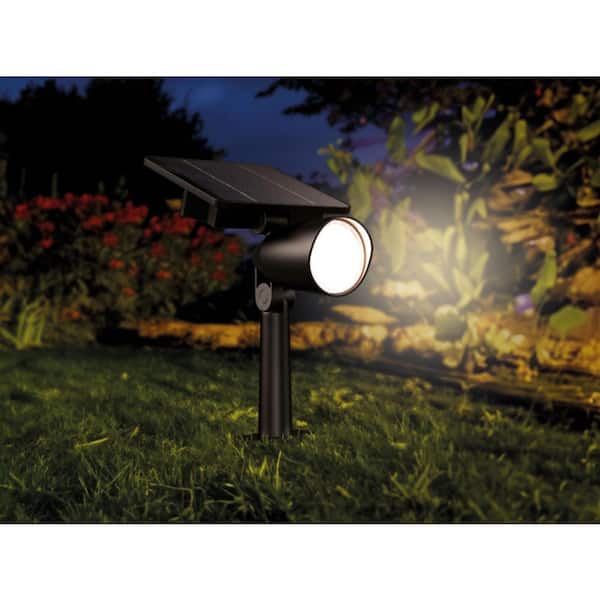 100 Lumen Ashlyn Outdoor Solar LED Spot or Wall Mount Light Black High Brightness Weather Resistant (1-Pack)