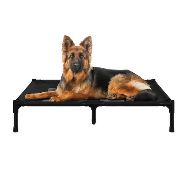 Elevated Black Dog Bed- 36 in. x 30 in. Portable Pet Bed with Non-Slip Feet Up to 80 lbs.