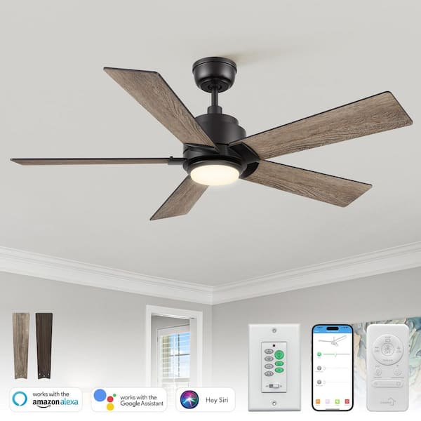 48 in. Smart Indoor/Outdoor Black Downrod LED Standard Ceiling Fan with Remote Control, Wall Control, 10-Speed DC Motor
