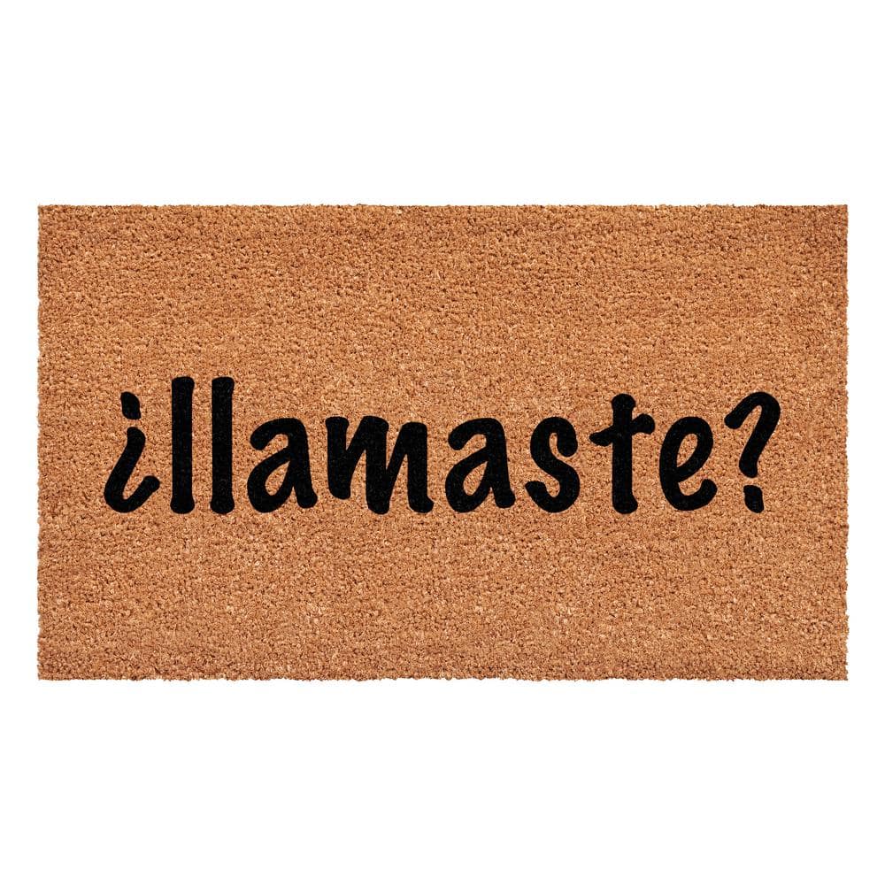 Llamaste Multi-Colored 17 in. x 29 in. Indoor or Outdoor Spanish Doormat price history on PriceWatchPro