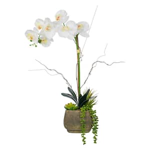 23. 23 in. H Artificial Phalaenopsis Orchid Floral Arrangement in Decorative Cement in Pot
