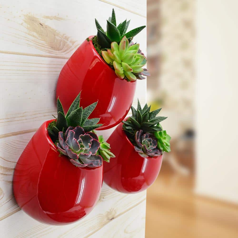 Small Red Ceramic Round Wall Planter Set