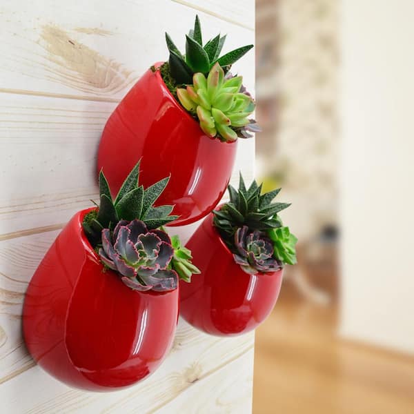 Round 5 1/2 in. x 6 in. Red Ceramic Wall Planter