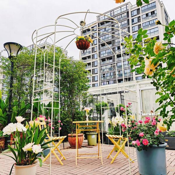VAMOP 114.2 in. Iron Birdcage Garden Arch Trellis with Powder