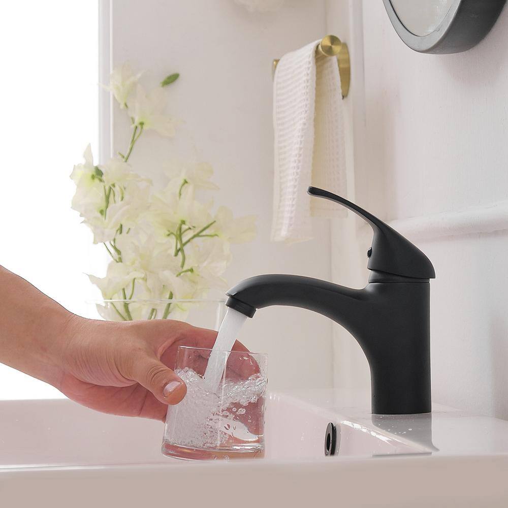 Matte Black Stainless Steel Single-Handle Bathroom Faucet
