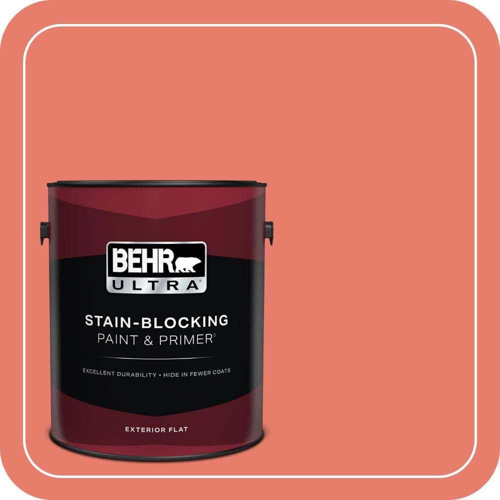 1 gal. Home Decorators Collection #HDC-SM14-12 Cosmic Coral Flat Exterior Paint & Primer product image for price tracking