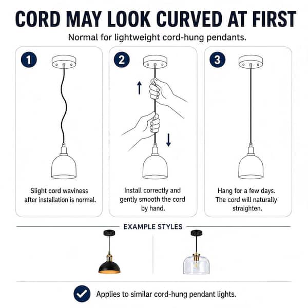 Zevni Modern 1-Light Matte Black Pendant Light with Textured Glass