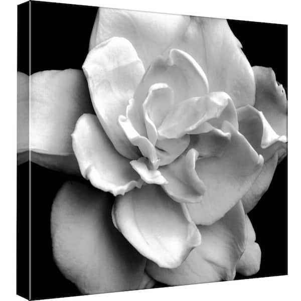 PTM Images 15 in. x 15 in. ''Black&White Nature'' Printed Canvas Wall Art