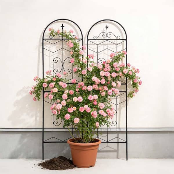 trellis in planter box Sunjoy Marston Planter With Screen