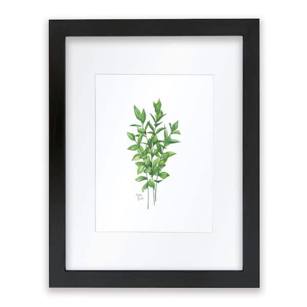 Unbranded Nature's Lace 1 "Israeli Ruscus" by Alyssa Lewis Individual Black Framed with Mat Nature Art Print 14 in. x 11 in.