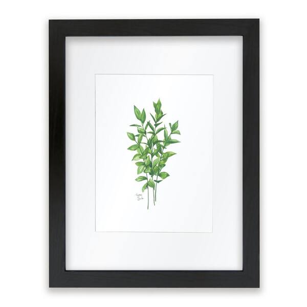 Unbranded Nature's Lace 1 "Israeli Ruscus" by Alyssa Lewis Individual Black Framed with Mat Nature Art Print 20 in. x 16 in.