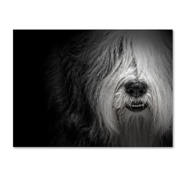 Trademark Fine Art Sheepdog by Lori Hutchison Floater Frame Animal Wall Art 14 in. x 19 in.
