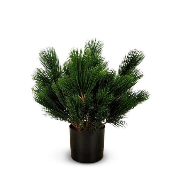 Unbranded Botanical 1.8 ft. Artificial Pinus in Pot