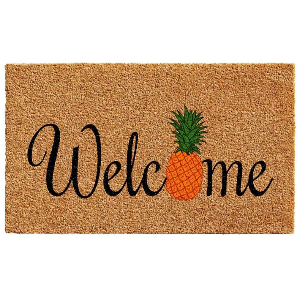 Multi-Colored 29 in. x 17 in. Coir Outdoor Door Mat price history on PriceWatchPro