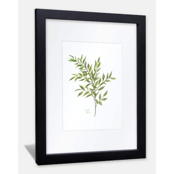 Nature's Lace 1 Italian Ruscus by Alyssa Lewis Individual Black Framed with Mat Nature Art Print 20 in. x 16 in., Multicolor