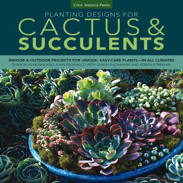 Unbranded Planting Designs for Cactus and Succulents: Indoor and Outdoor Projects for Unique, Easy-Care Plants-In All Climates