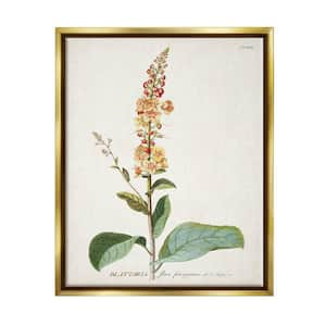 Botanical Plant Illustration Flowers Design by World Art Group Floater Frame Nature Wall Art Print 21 in. x 17 in. .