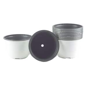 6 in. W White/Gray Plastic Pots (10-Pack)