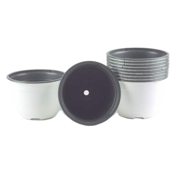 TEKU 6 in. W White/Gray Plastic Pots (10-Pack)