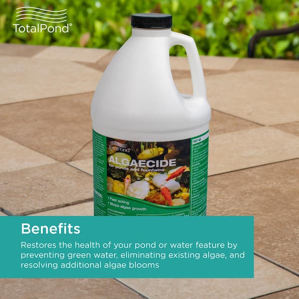 64 oz. Algaecide