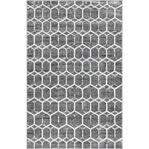 Matrix Trellis Tile Gray 9 ft. x 12 ft. Area Rug