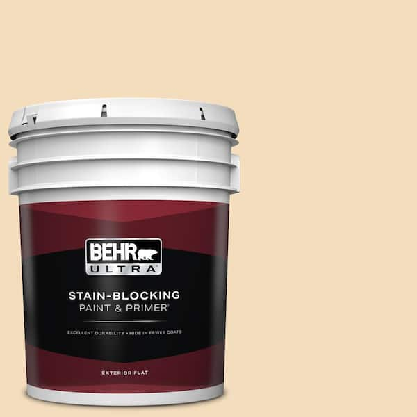 BEHR ULTRA 5 gal. #YL-W01 Spinning Silk Flat Exterior Paint & Primer