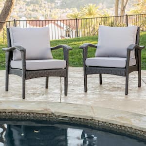 Honolulu Gray Stationary Plastic Outdoor Lounge Chair with Silver Gray Cushion (2-Pack)