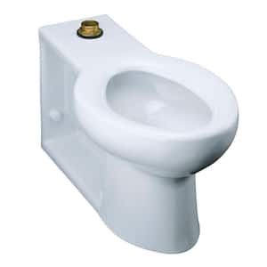 Anglesey Elongated Toilet Bowl Only in White