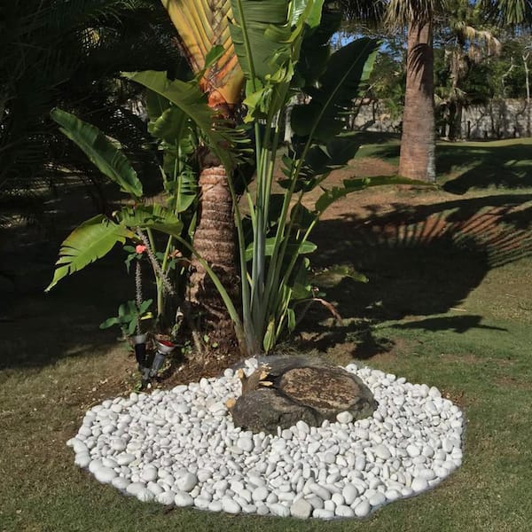 0.25 cu. ft., 2 in. to 5 in. 20 lbs. Caribbean Beach Pebbles