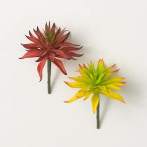 5" Red & Yellow Succulent Spike - Set of 2