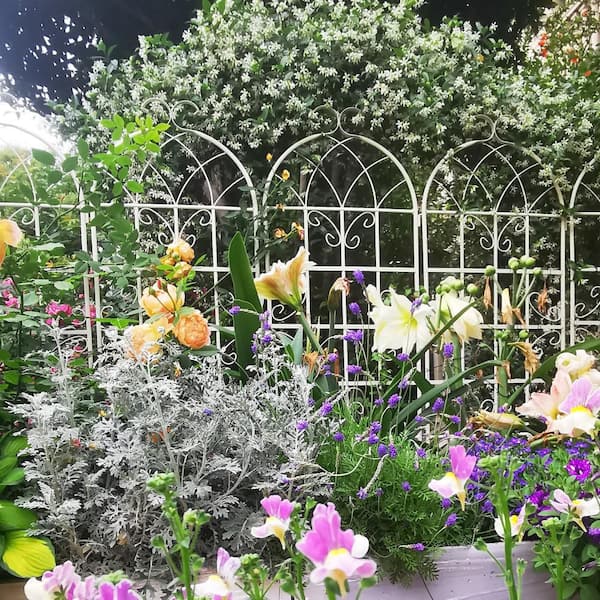 Expanding Trellis Garden Climbing Plant Wall Fence Mesh Flowers Support Decor AU
