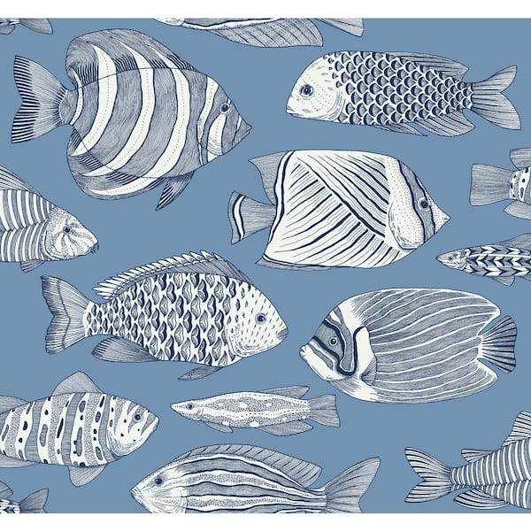 A-Street Prints Wailea Sky Blue Tropical School Wallpaper Sample