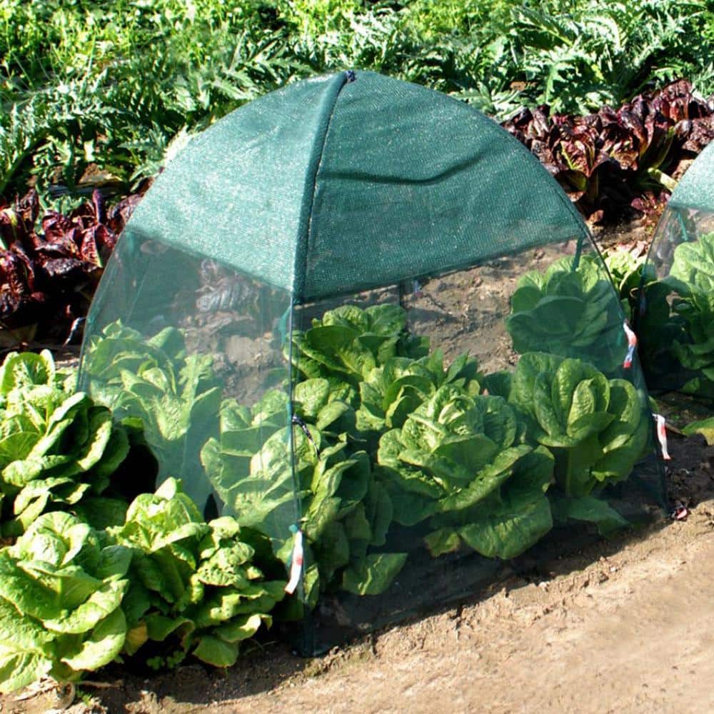 Green 52" x 52" Pop-Up Garden Netting Bug and Shade Cover