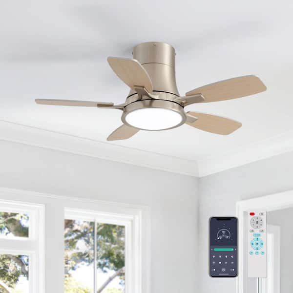 FANNEHONNE Lidia 32 in. Integrated LED Gold Flush Mount Ceiling Fan with Light and Remote Control for Small Room