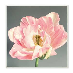 "Pink Floral Close-Up Flower Petal Bloom" by Sarah Jane Unframed Nature Wood Wall Art Print 12 in. x 12 in.